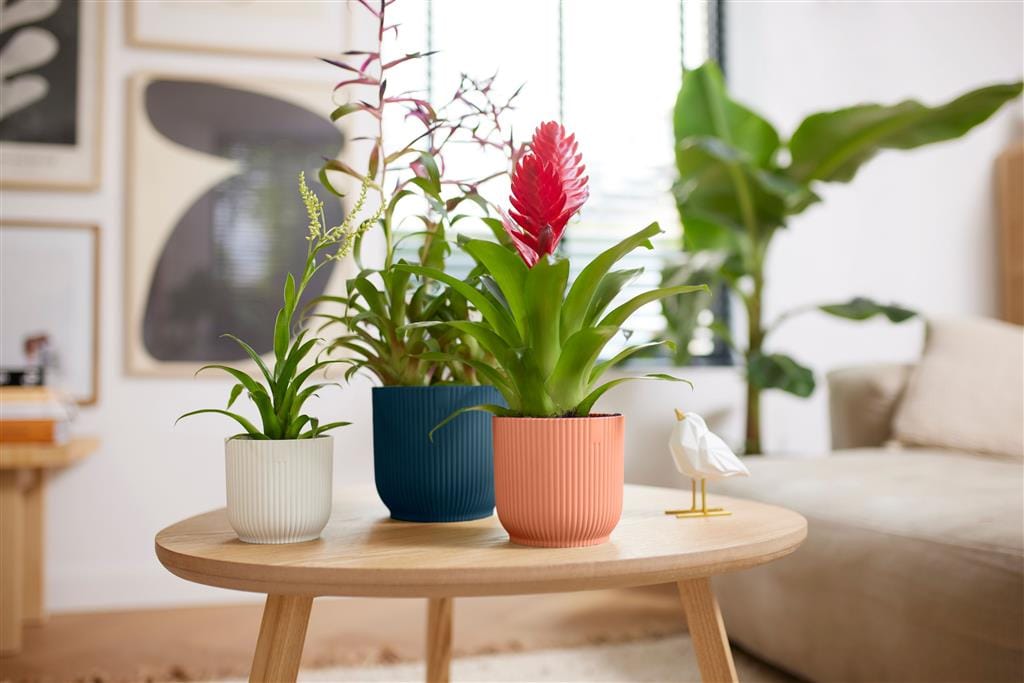 Cache-pot Elho VIBES FOLD D.22 cm