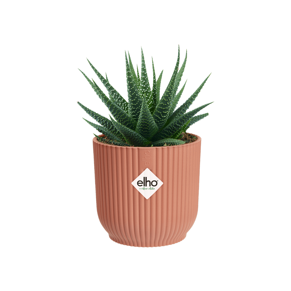 Cache-pot Elho VIBES FOLD mini D.9 cm