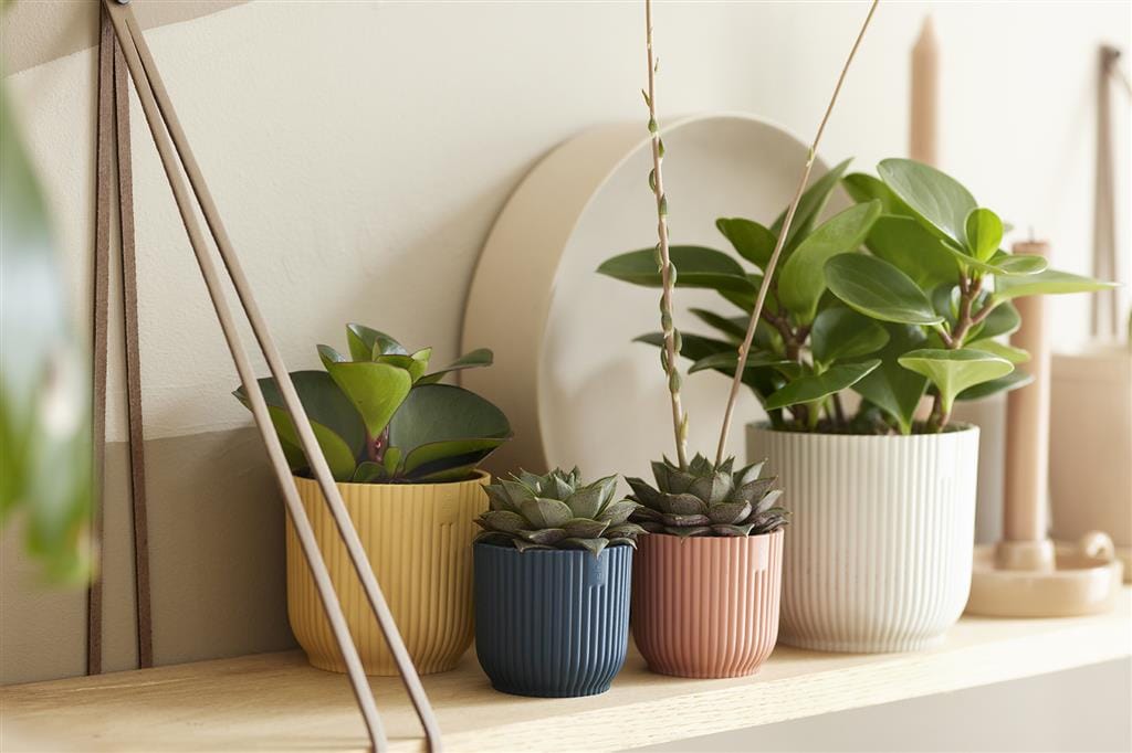 Cache-pot Elho VIBES FOLD mini D.9 cm