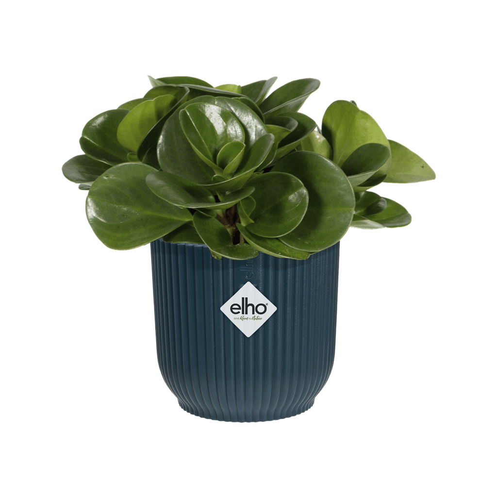 Cache-pot Elho VIBES FOLD D.16 cm