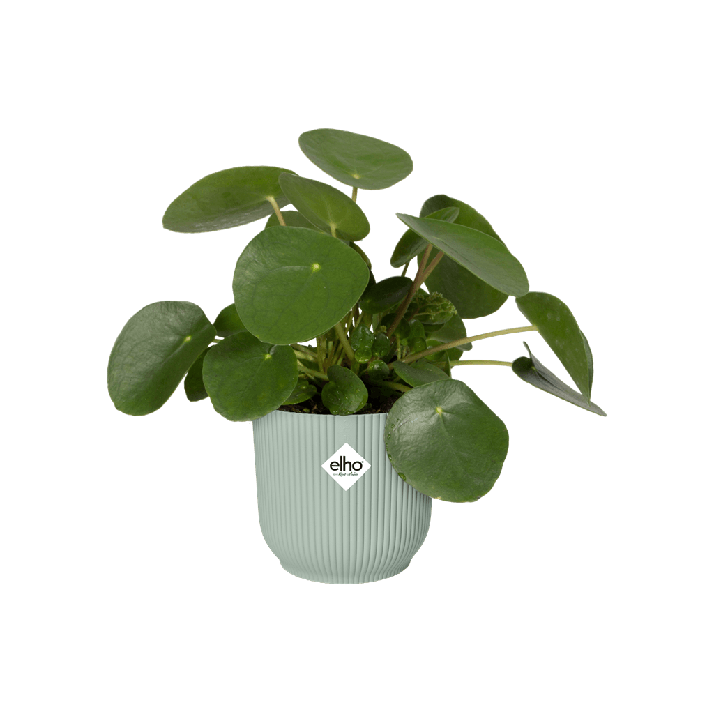 Cache-pot Elho VIBES FOLD mini D.9 cm