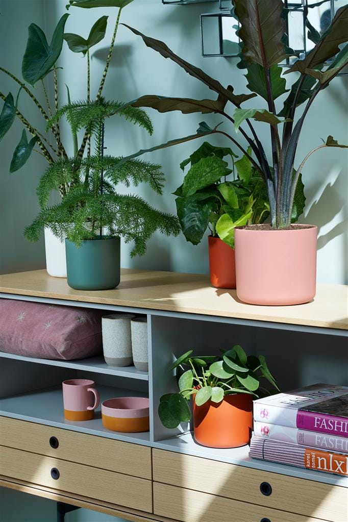 Cache-pot Elho B.FOR SOFT D.18