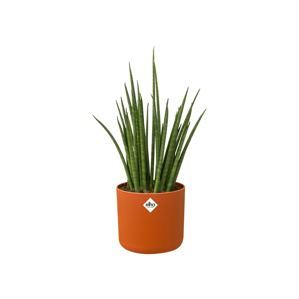 Cache-pot Elho B.FOR SOFT D.18