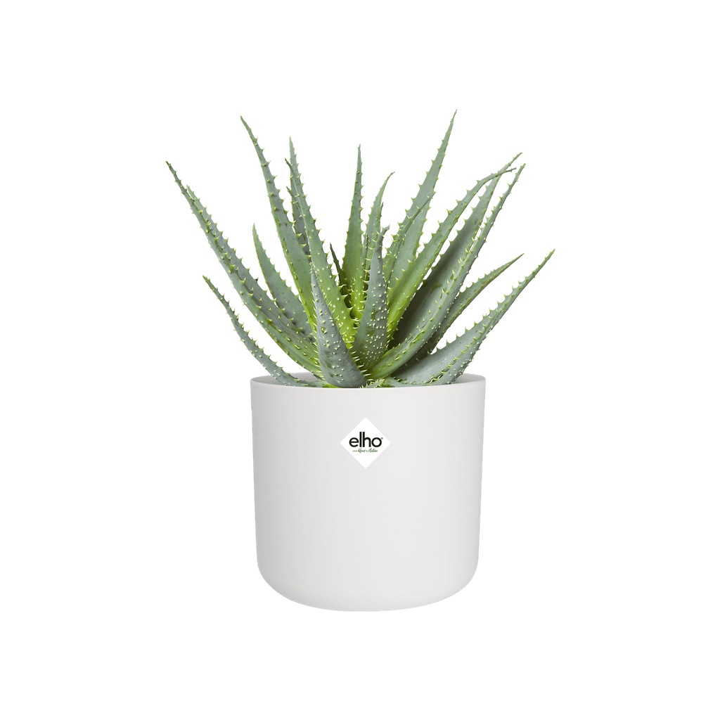Cache-pot Elho B.FOR SOFT D.18