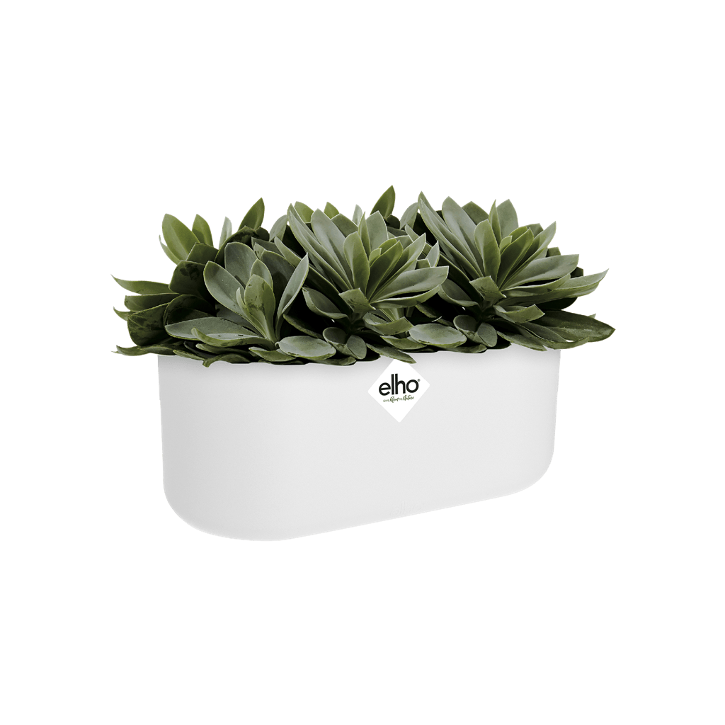 Cache-pot Elho DUO