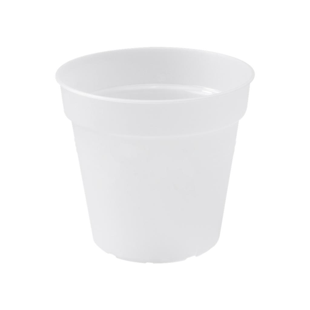 Pot transparent - GB ORCHIDEE D.17