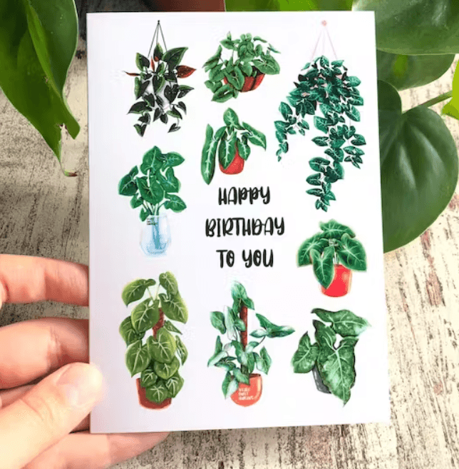 Carte double - HAPPY BIRTHDAY SYNGONIUM