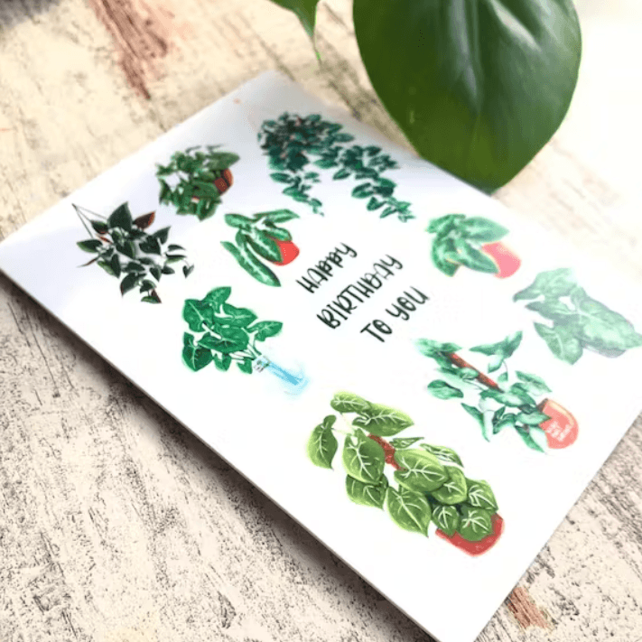 Carte double - HAPPY BIRTHDAY SYNGONIUM