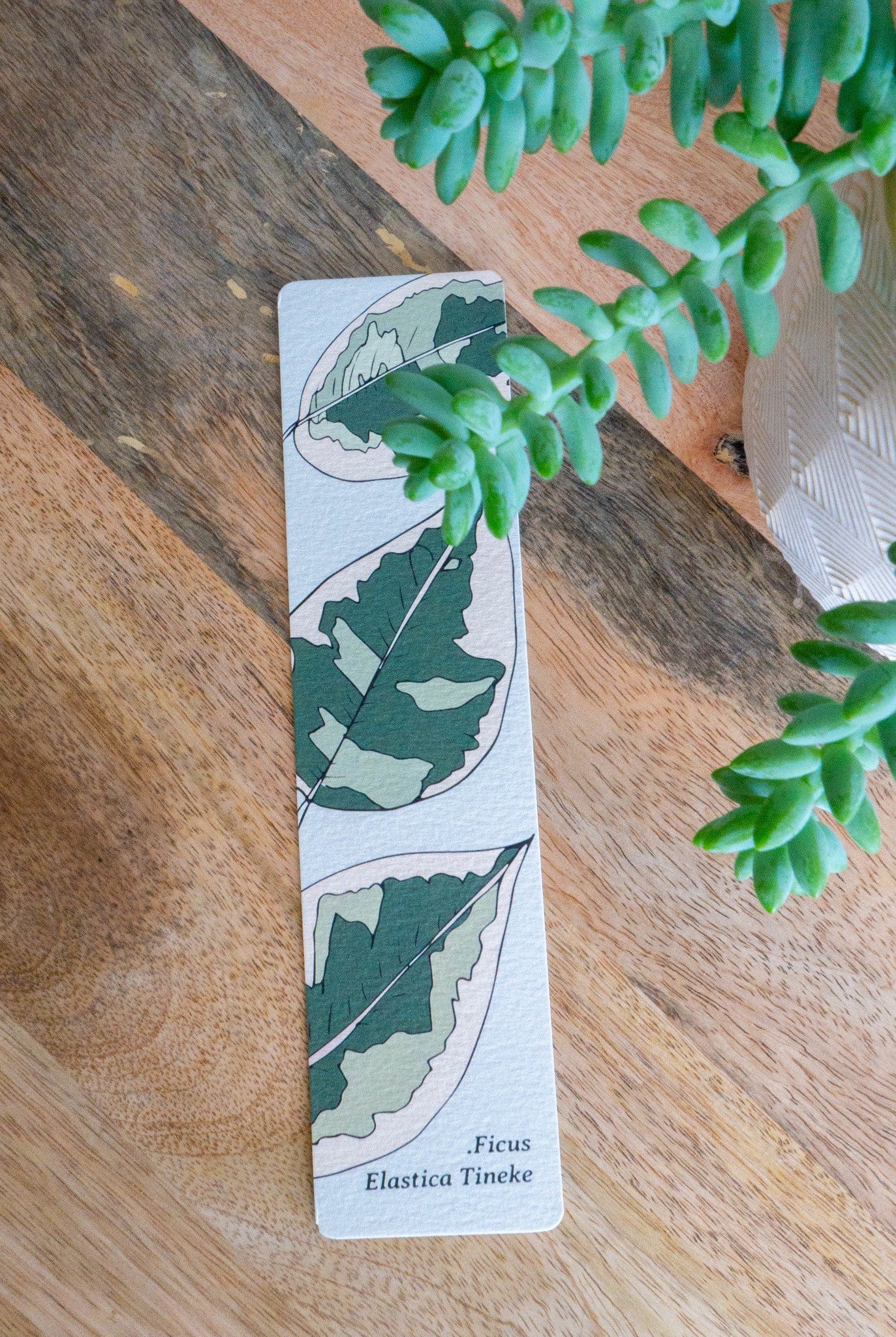 Marque-pages FICUS TINEKE