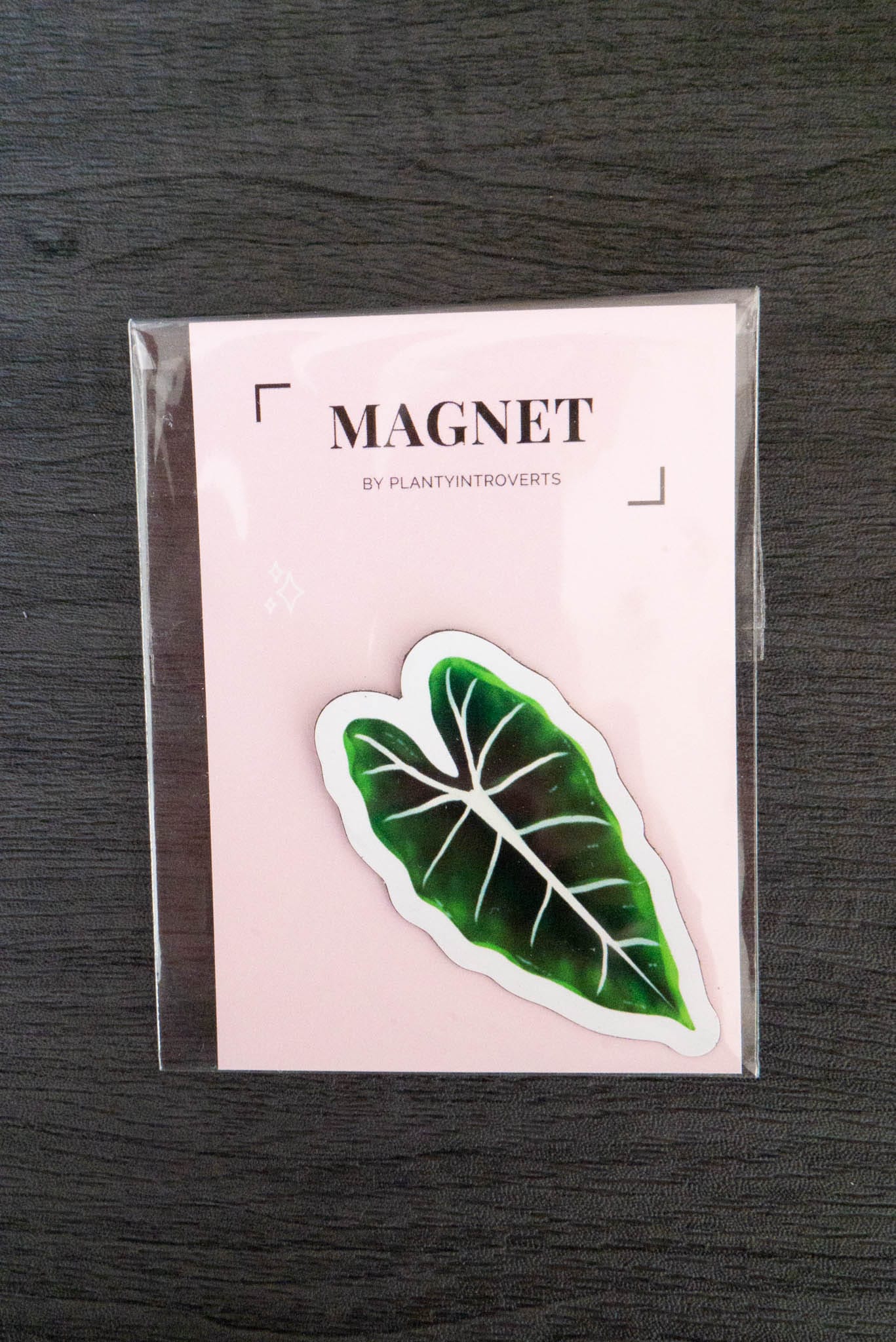 Magnet feuille - ALOCASIA FRYDEK
