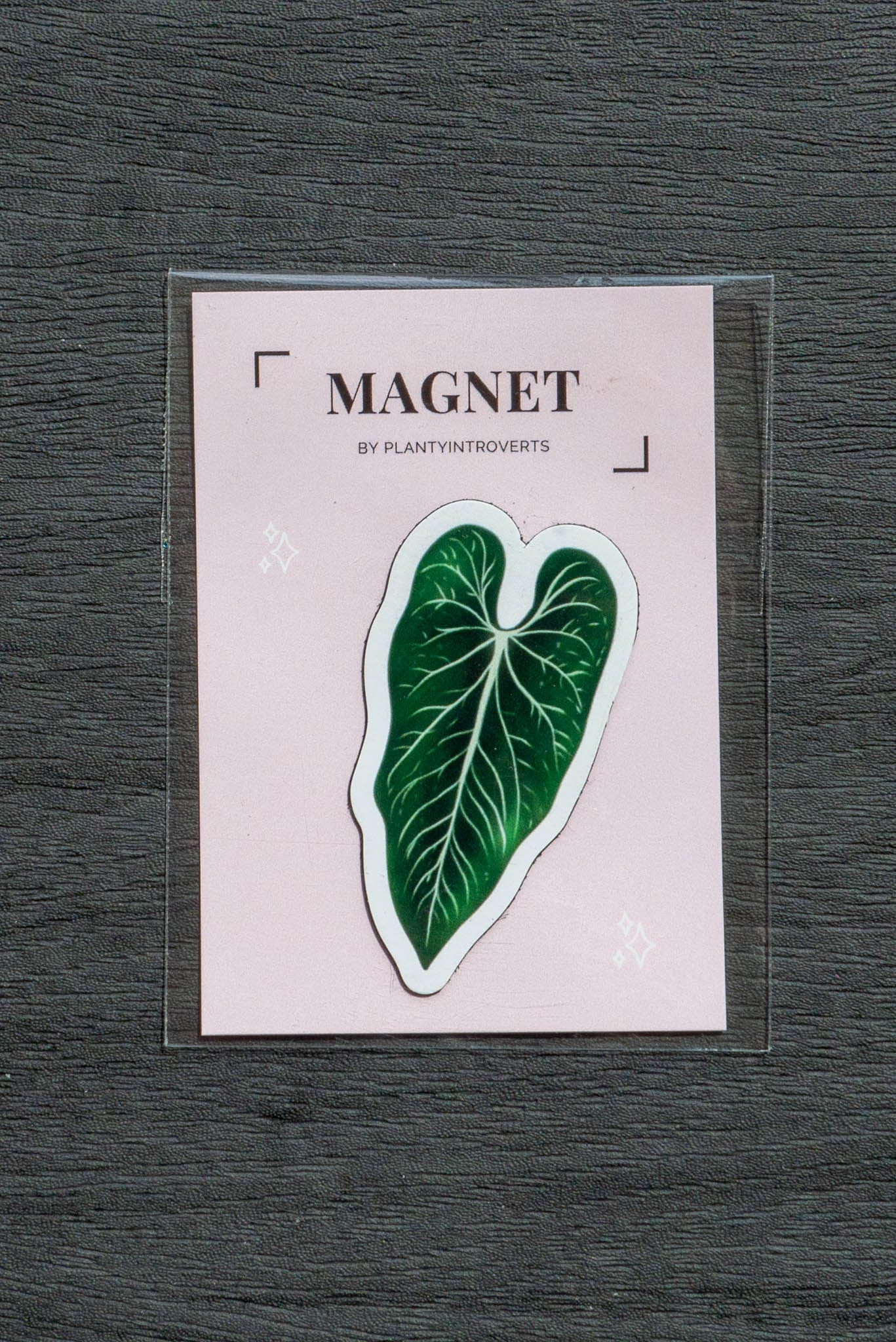 Magnet feuille - ANTHURIUM METALLICUM