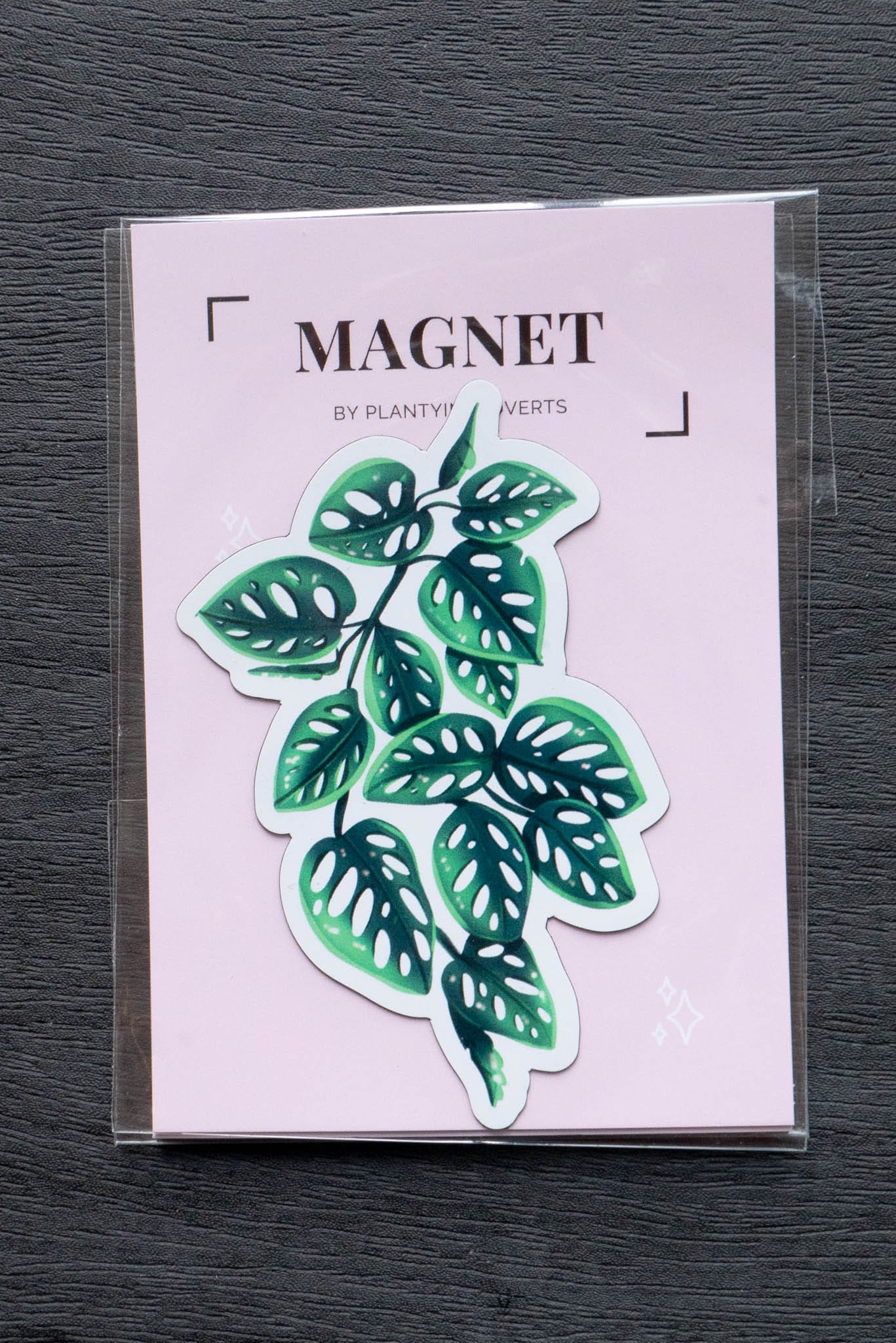 Magnet feuille - MONSTERA ADANSONII