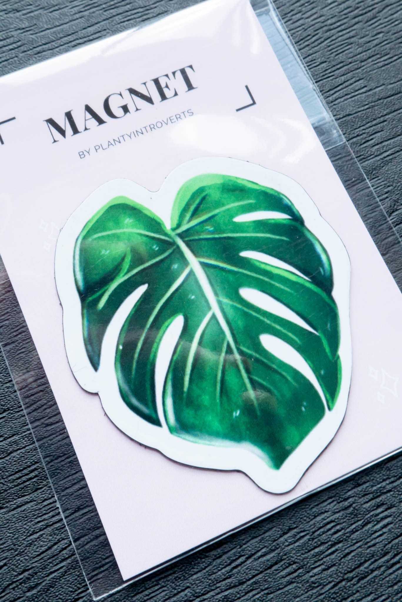 Magnet feuille - MONSTERA DELICIOSA