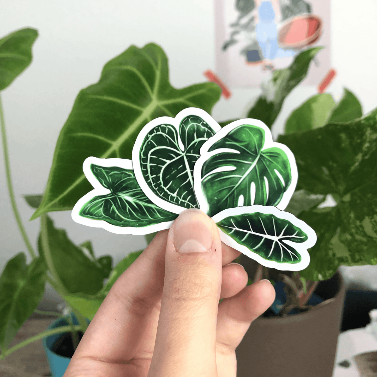 Magnet set - MONSTERA SYNGONIUM ALOCASIA ANTHURIUM