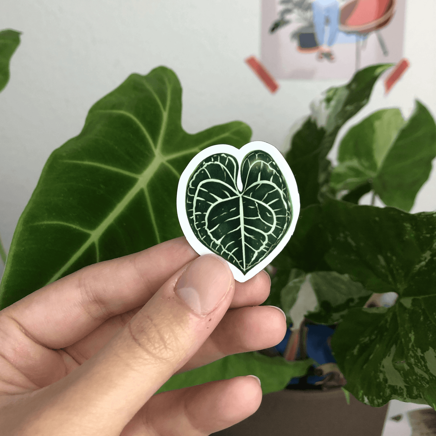 Magnet set - MONSTERA SYNGONIUM ALOCASIA ANTHURIUM
