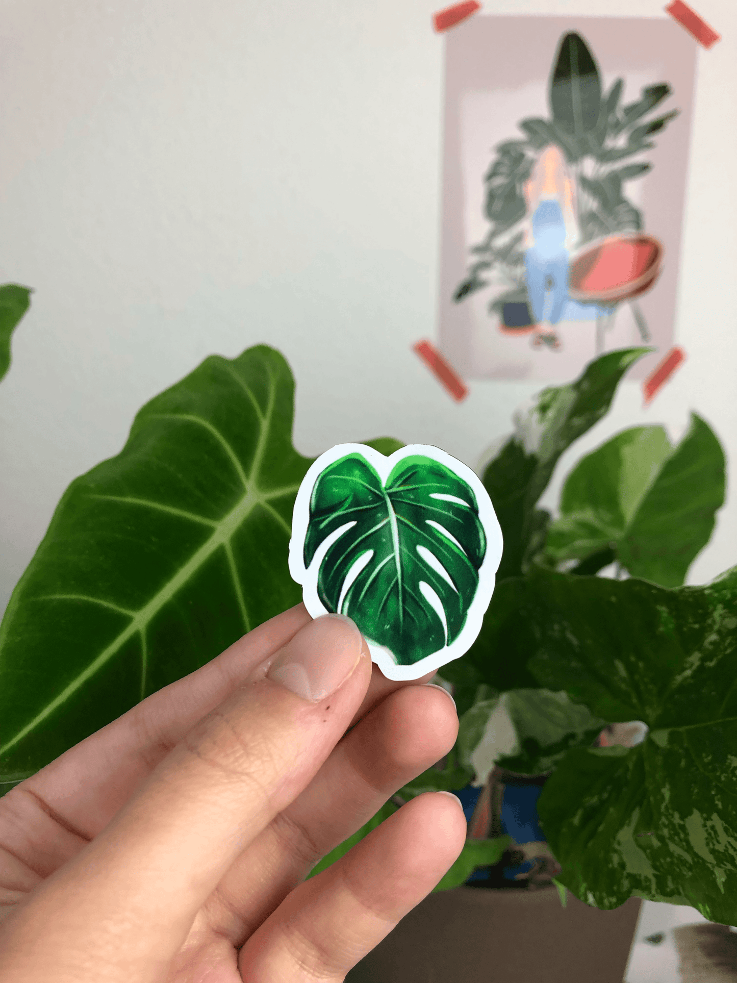 Magnet set - MONSTERA SYNGONIUM ALOCASIA ANTHURIUM