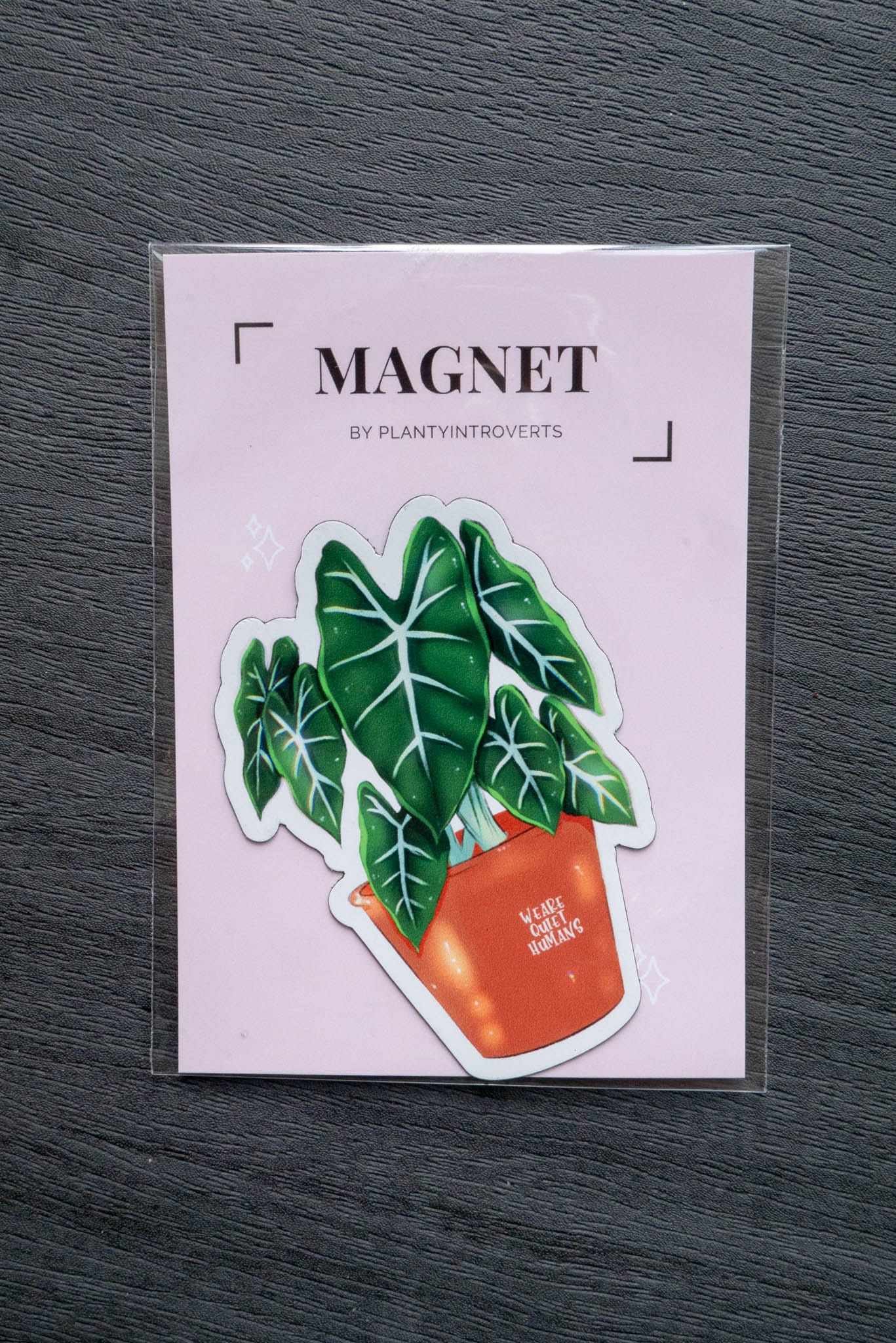 Magnet - ALOCASIA FRYDEK