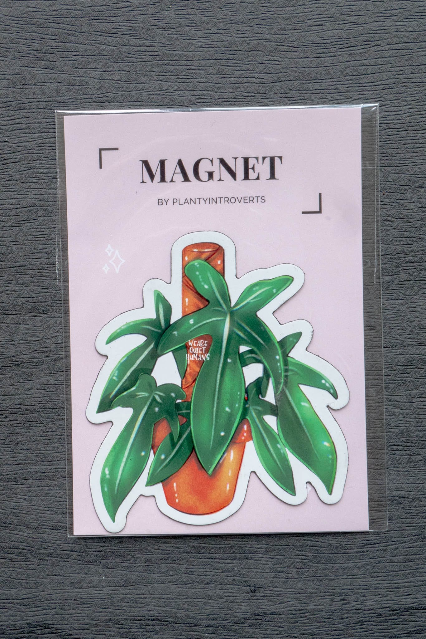 Magnet - FLORIDA GREEN