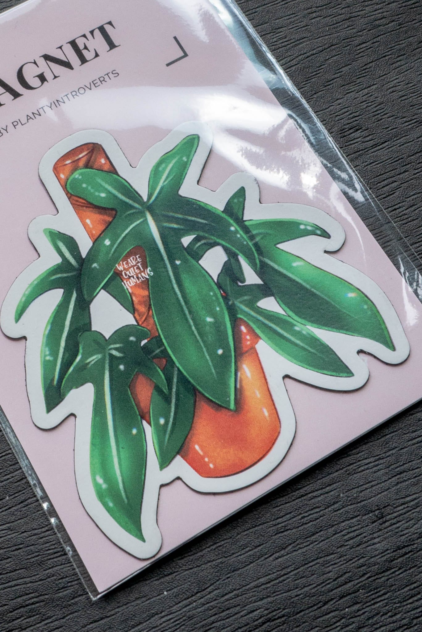Magnet - FLORIDA GREEN