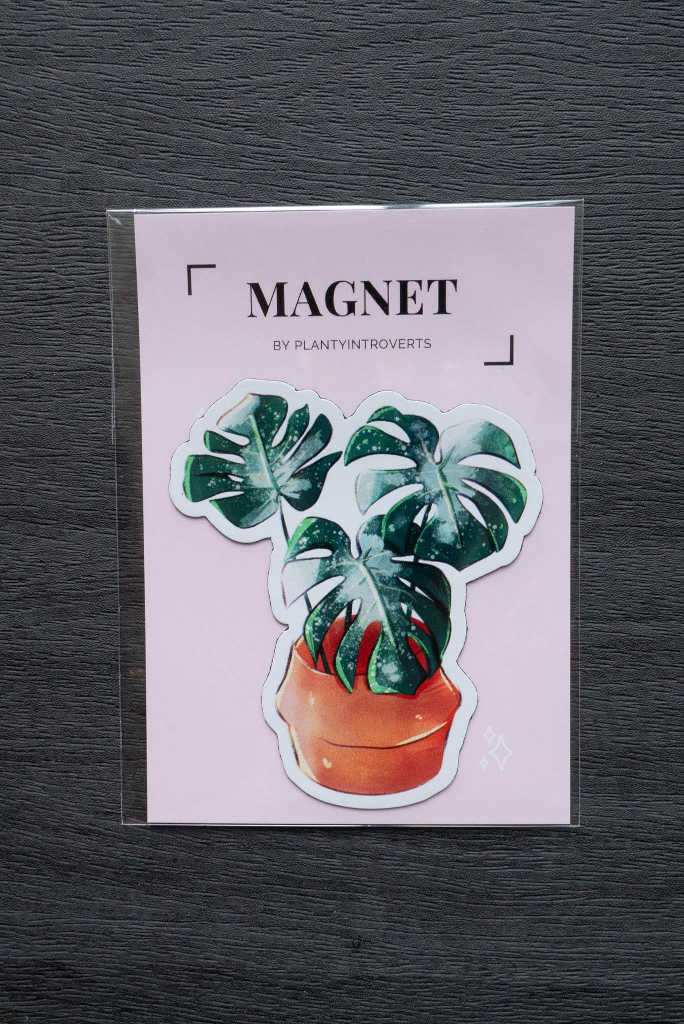 Magnet - MONSTERA THAI CONSTELLATION