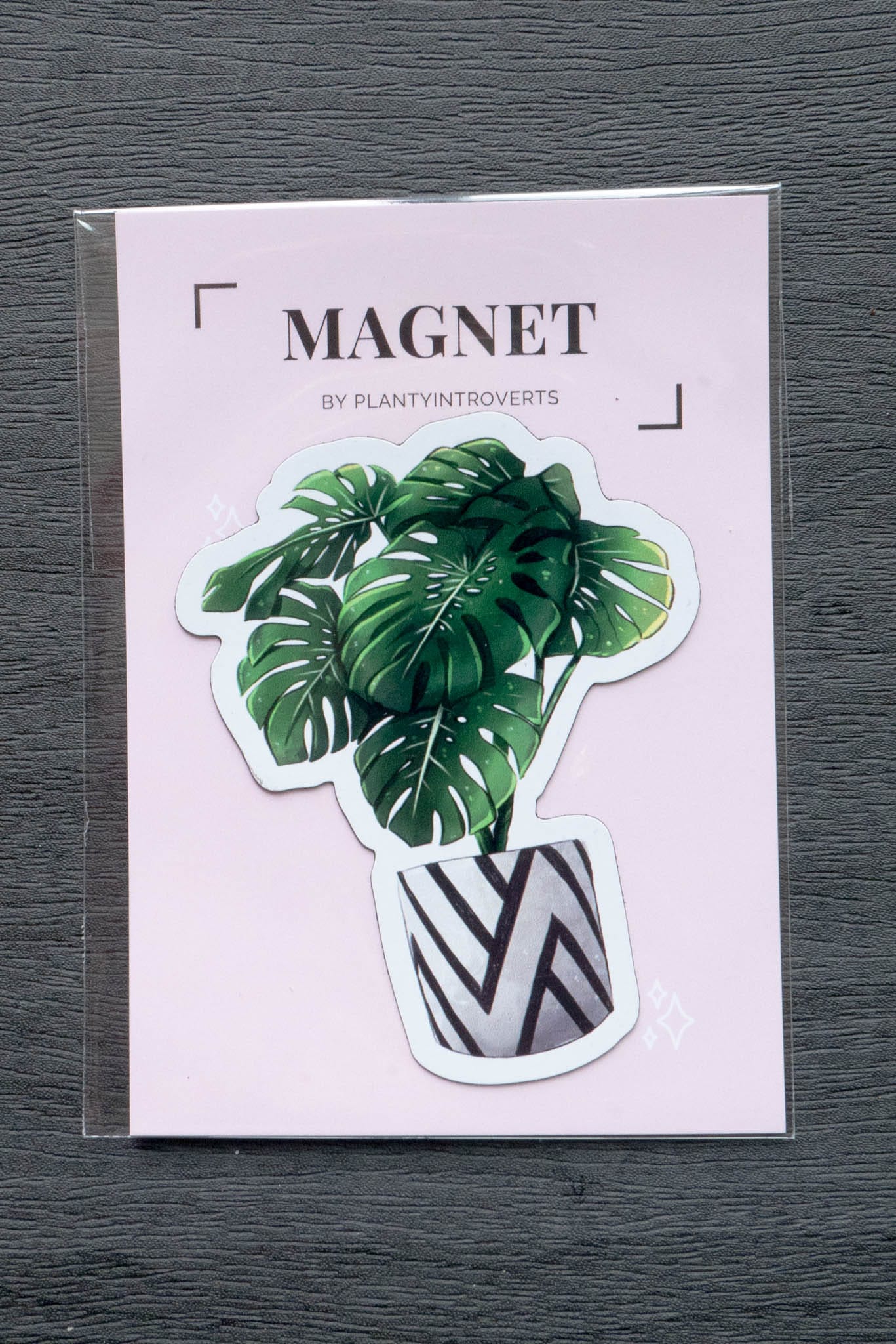 Magnet - MONSTERA DELICIOSA