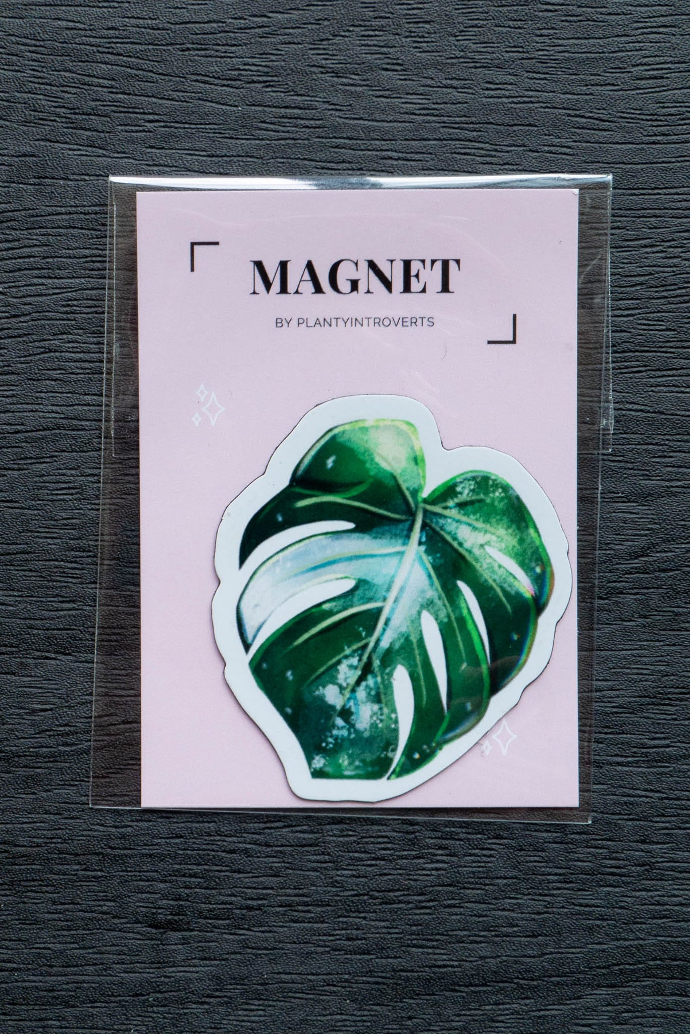 Magnet feuille - MONSTERA VARIEGATA
