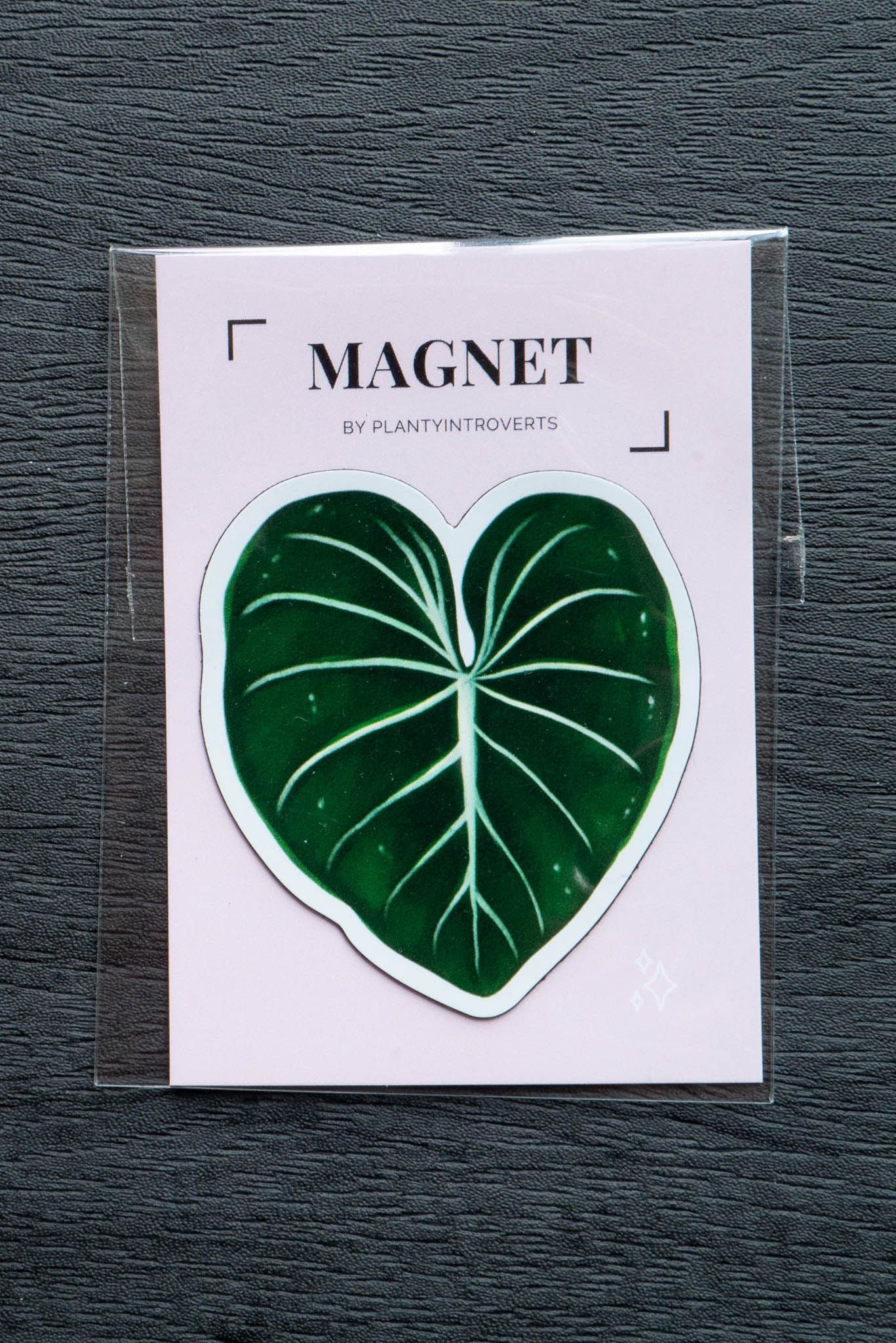 Magnet feuille - PHILODENDRON GLORIOSUM