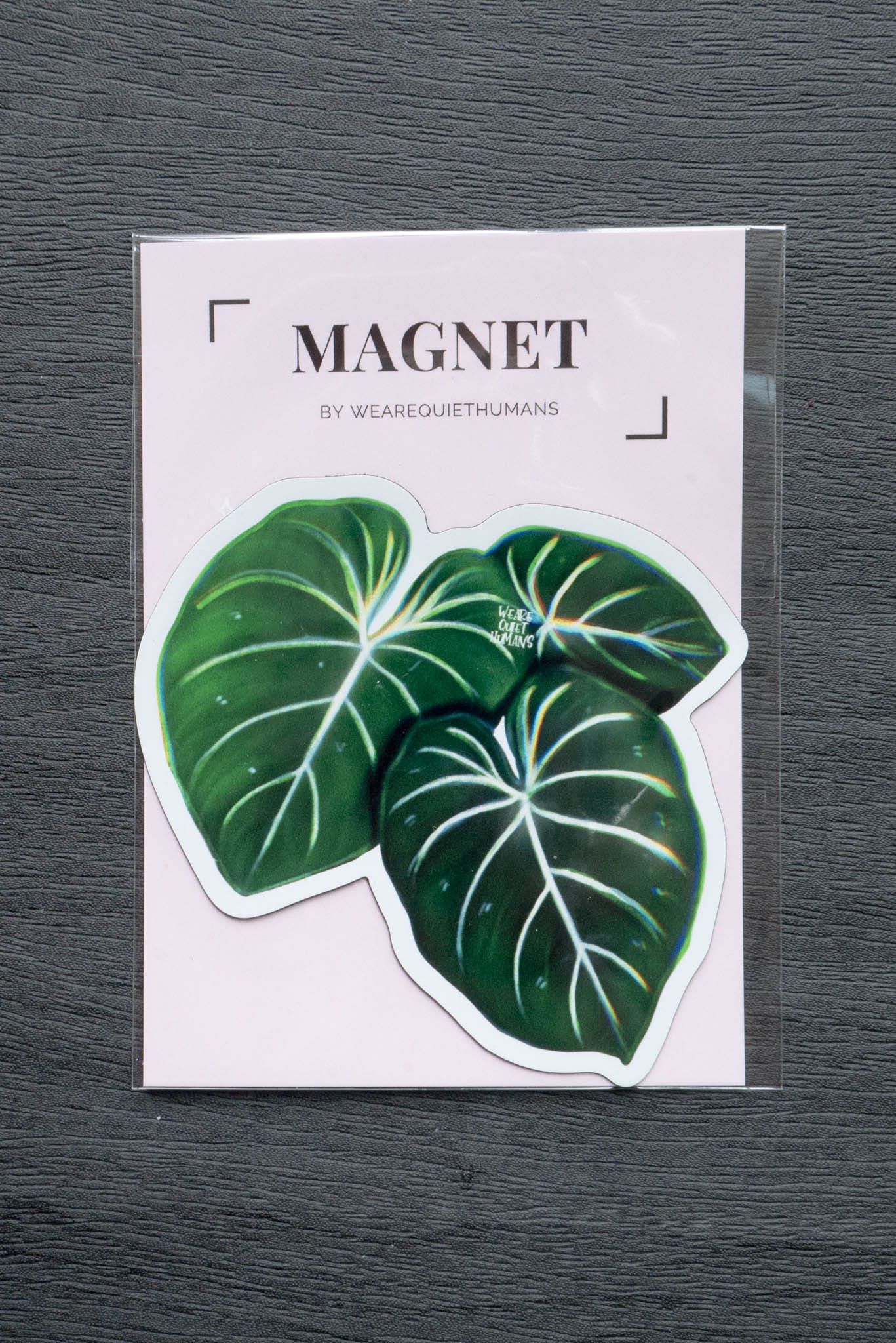 Magnet feuilles - PHILODENDRON GLORIOSUM