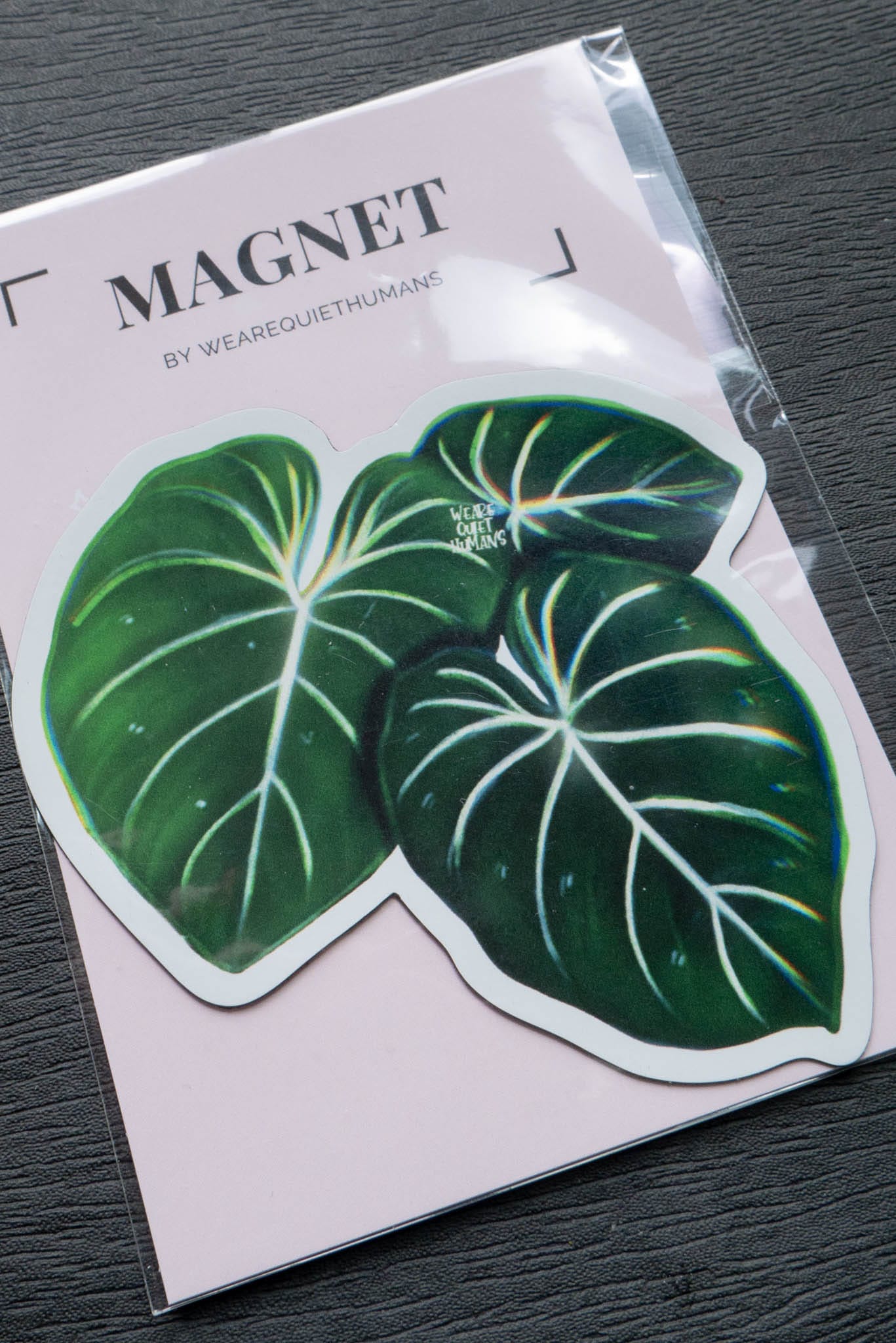 Magnet feuilles - PHILODENDRON GLORIOSUM
