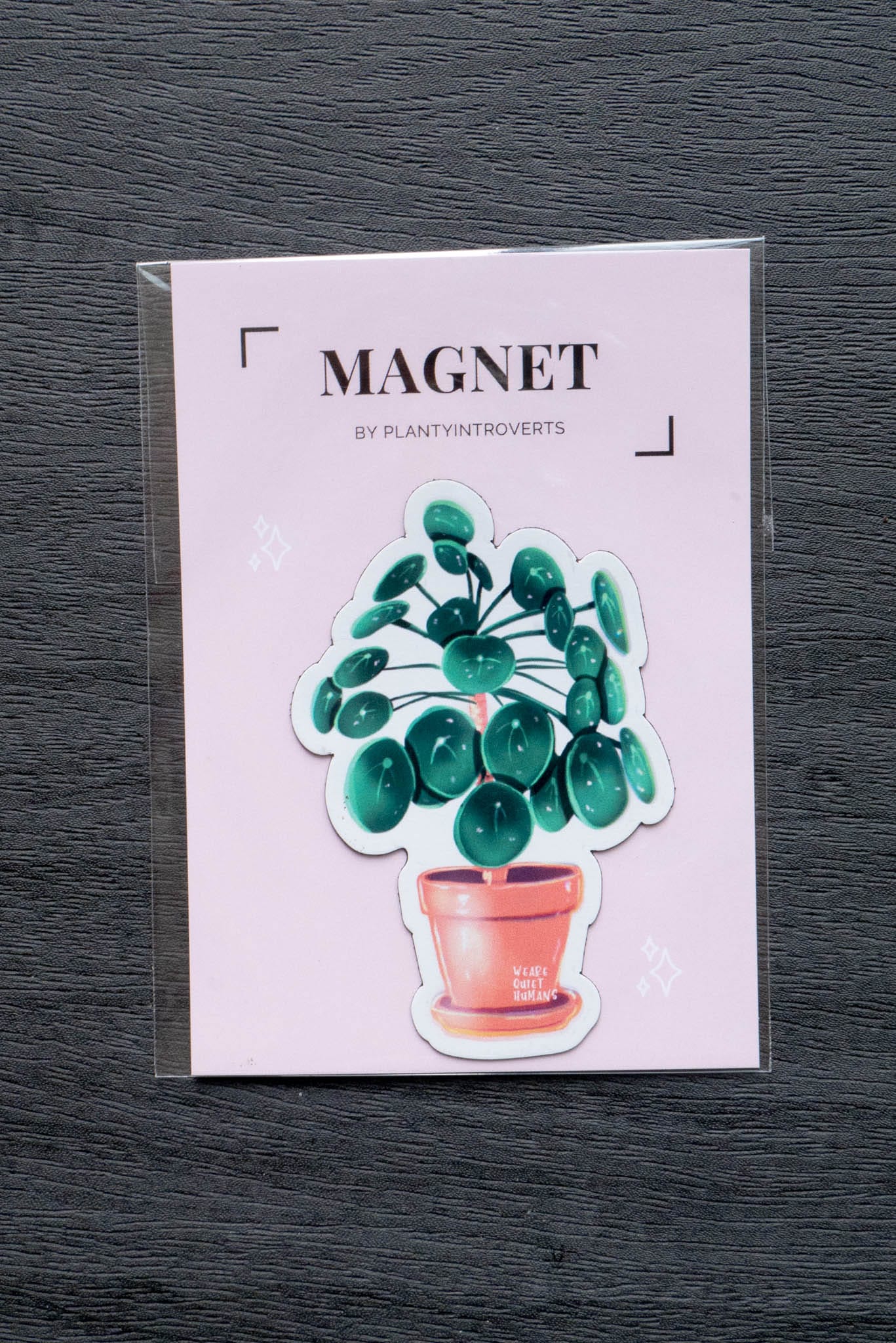 Magnet - PILEA PEPEROMIOIDES