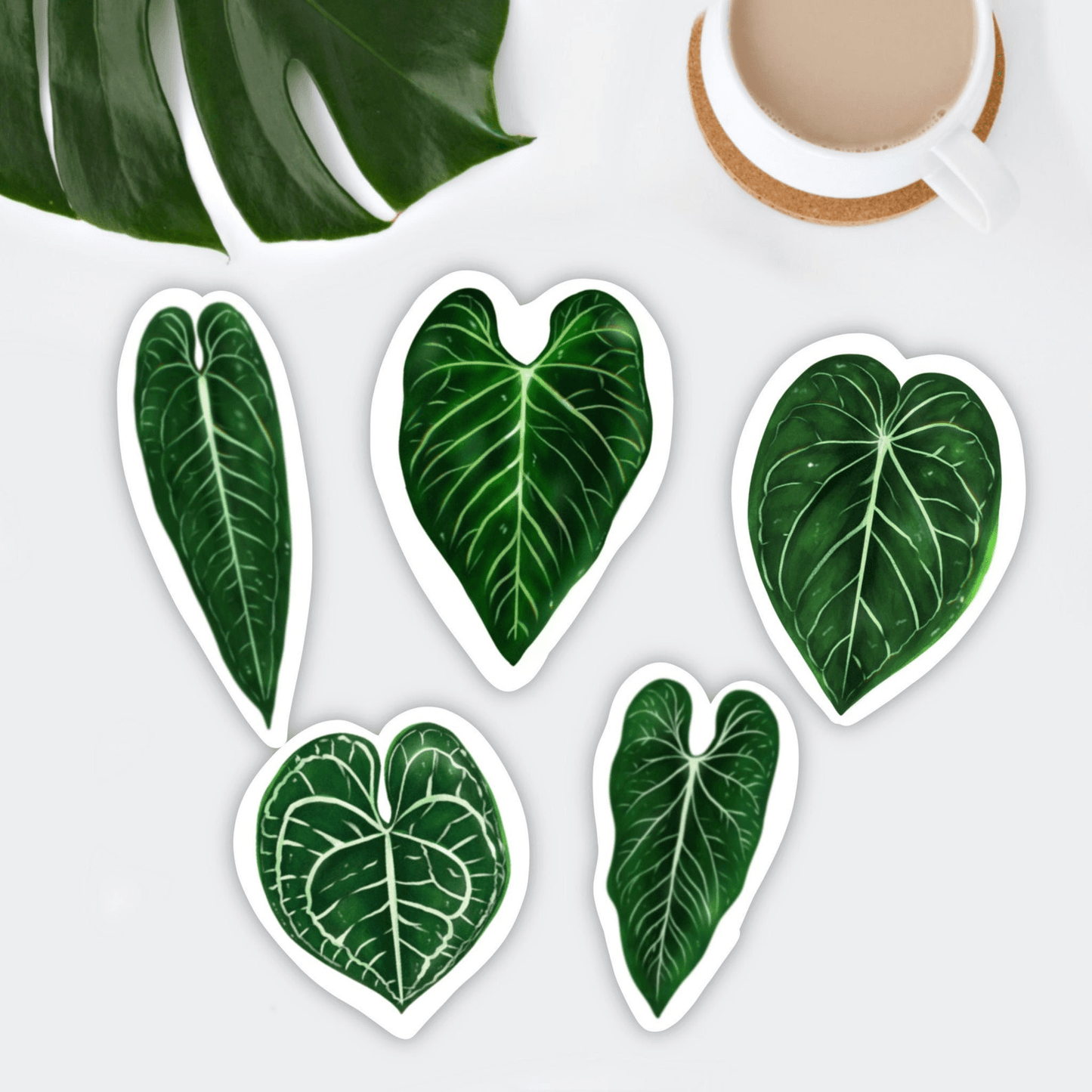 Magnet set - ANTHURIUM