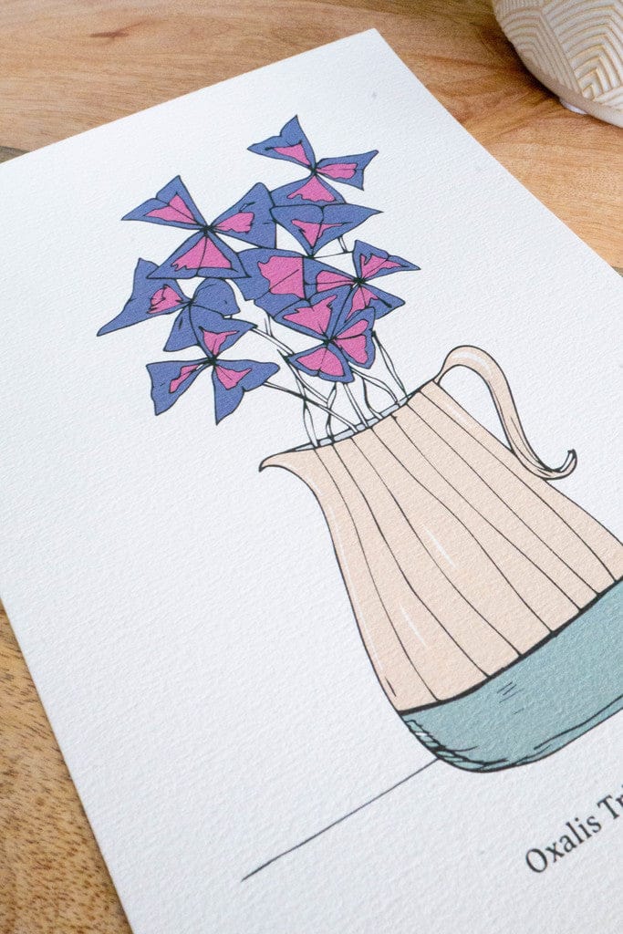 Affiche A5 - OXALIS TRIANGULARIS