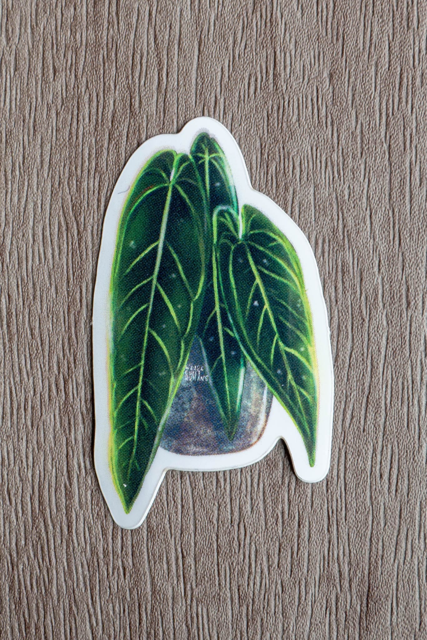 Sticker - ANTHURIUM