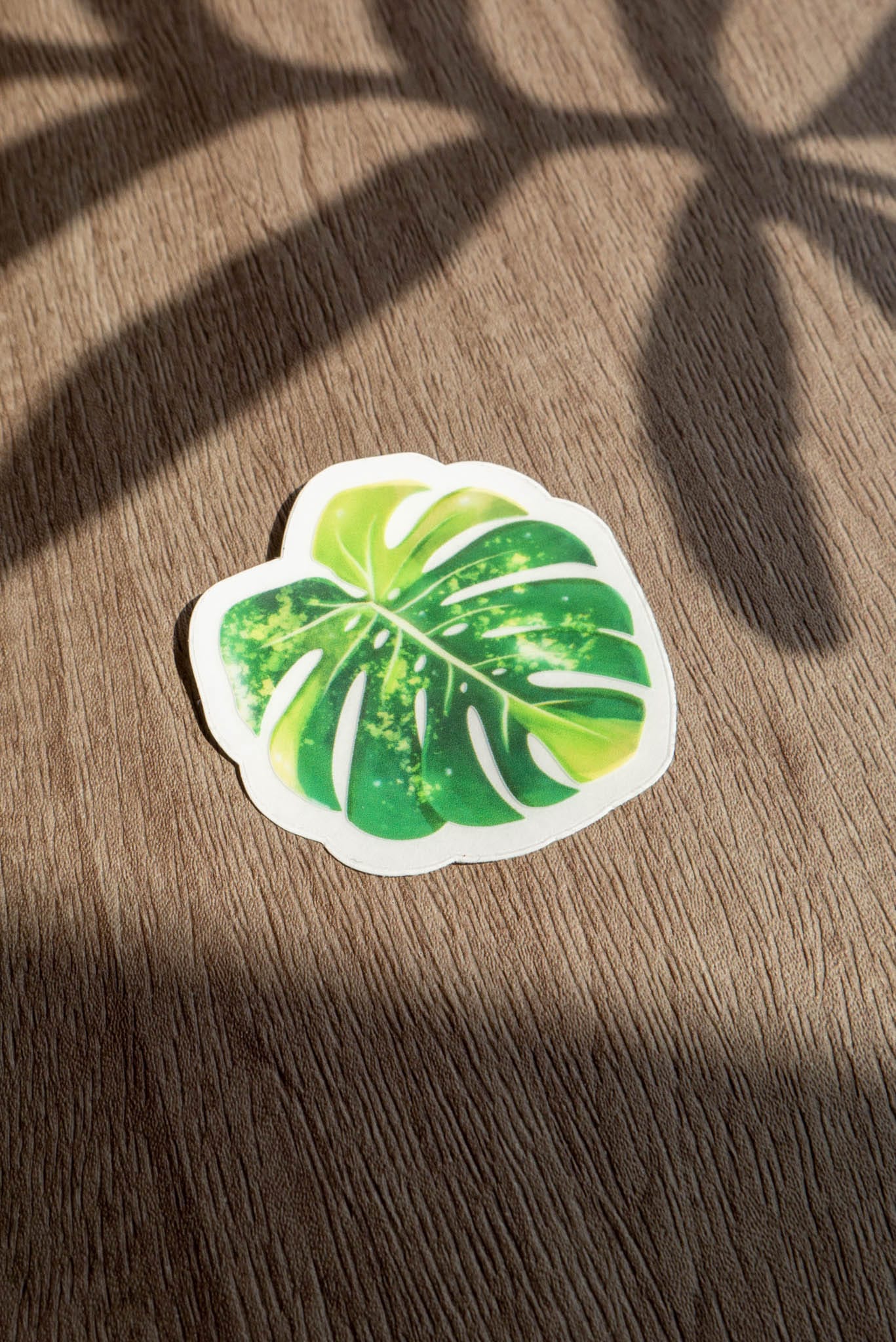 Sticker feuille - MONSTERA AUREA