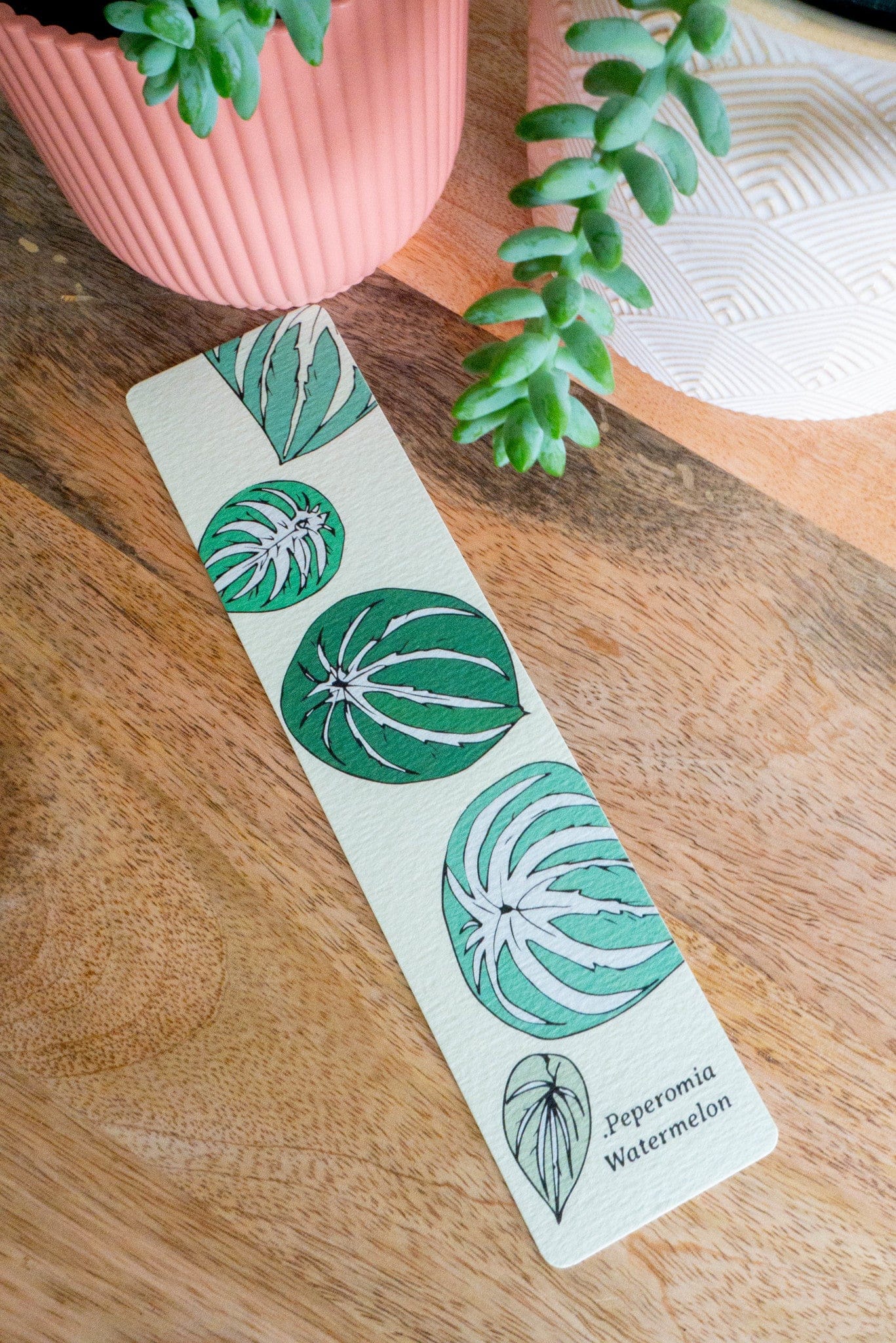 Marque-pages PEPEROMIA WATERMELON
