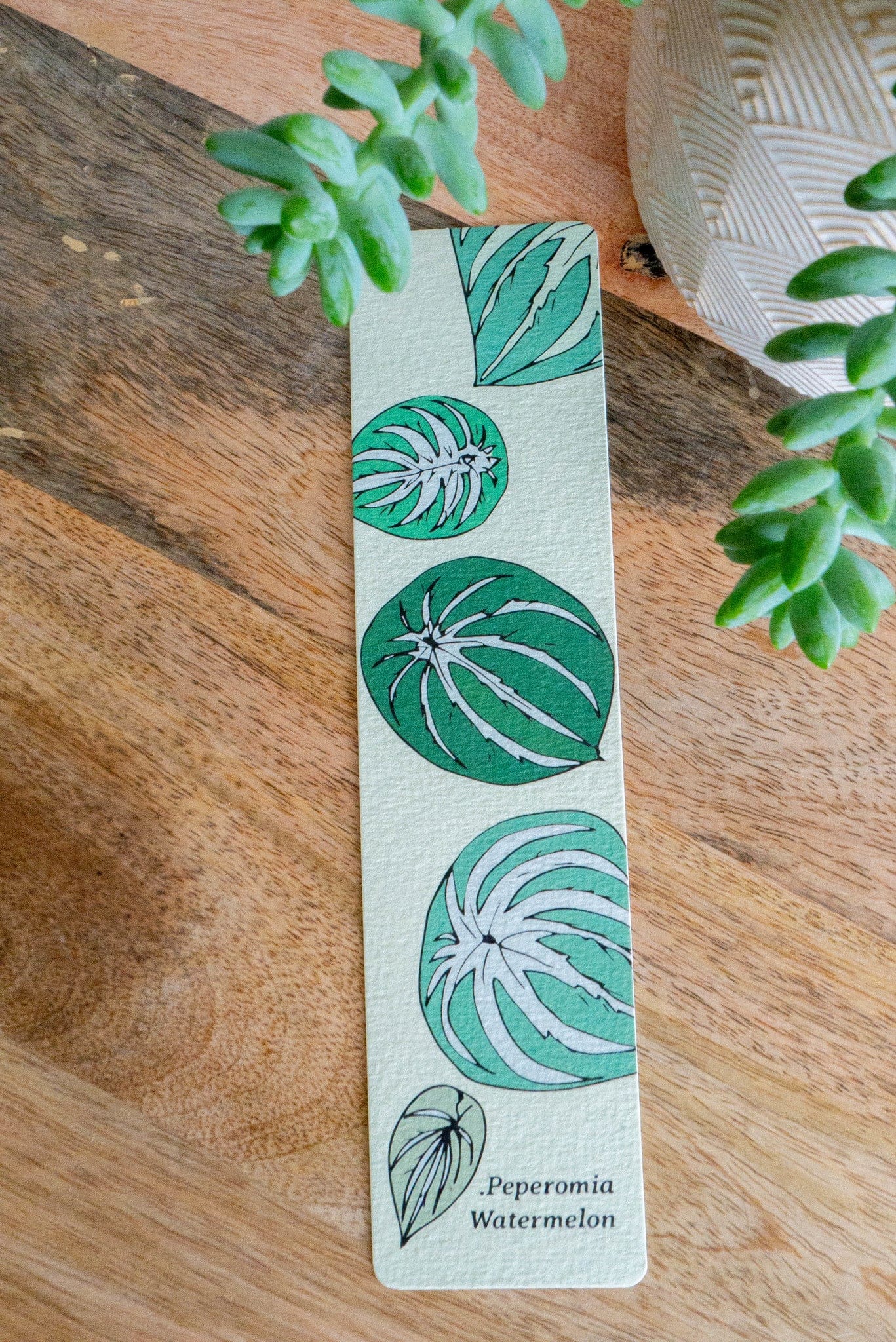 Marque-pages PEPEROMIA WATERMELON