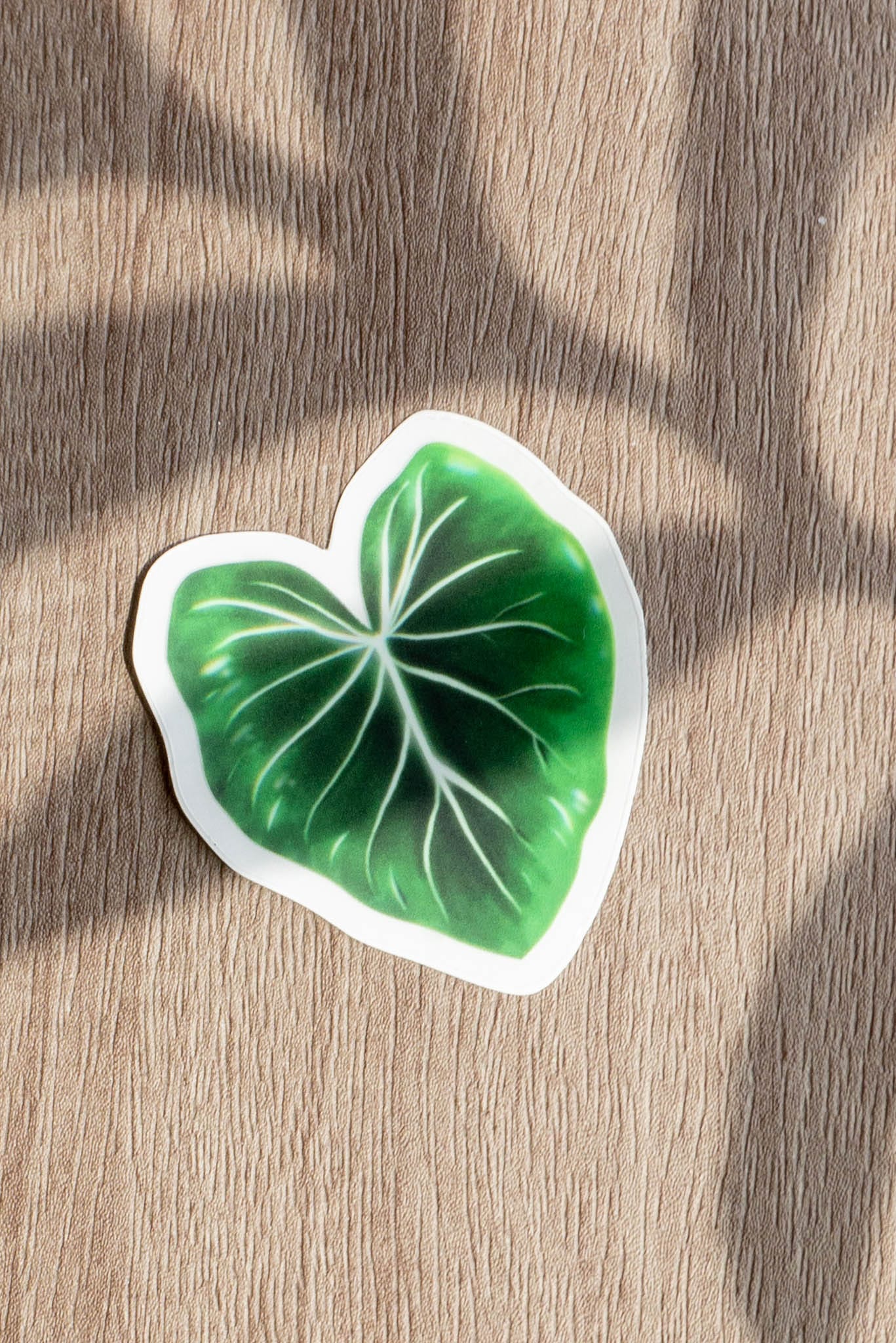 Sticker feuille - PHILODENDRON