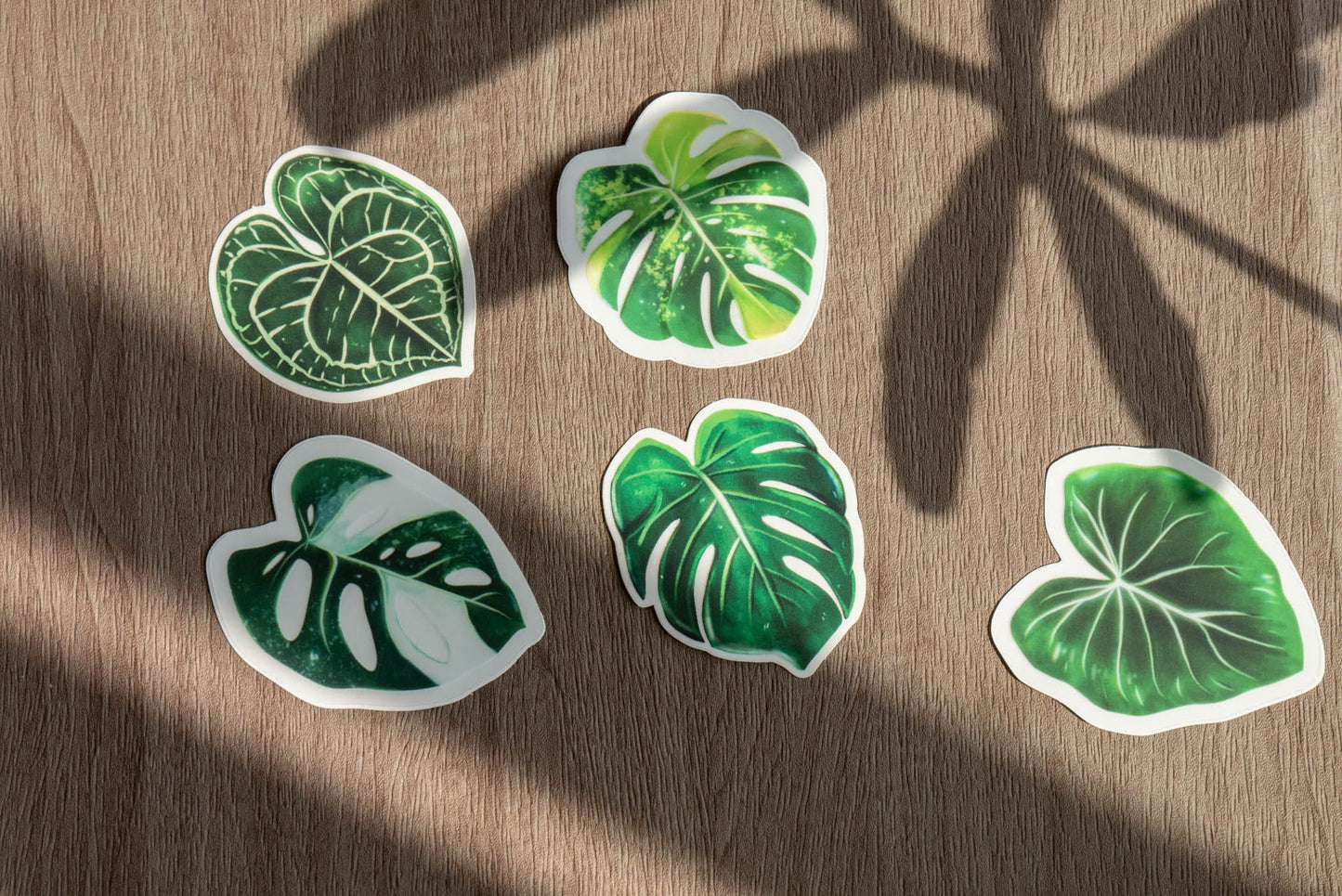 Sticker feuille - PHILODENDRON