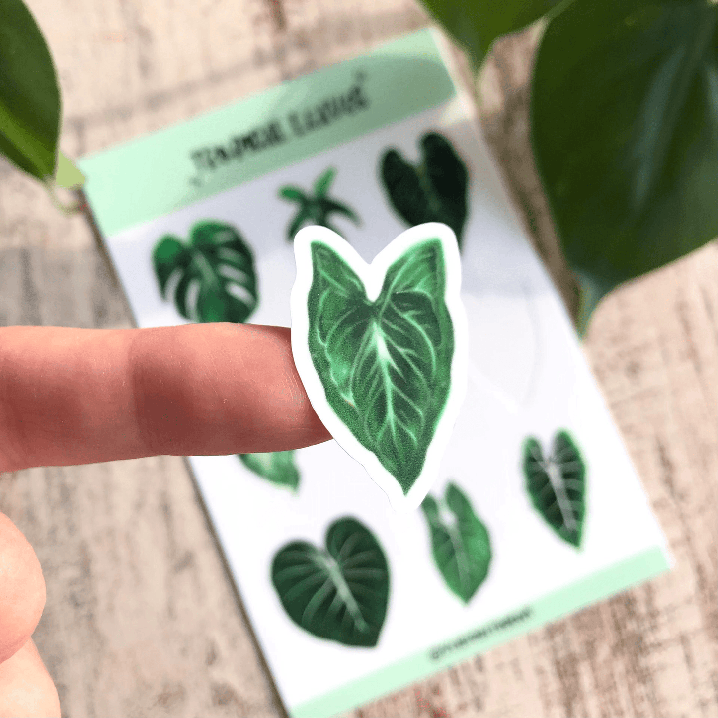 Stickers planche - 9 FEUILLES