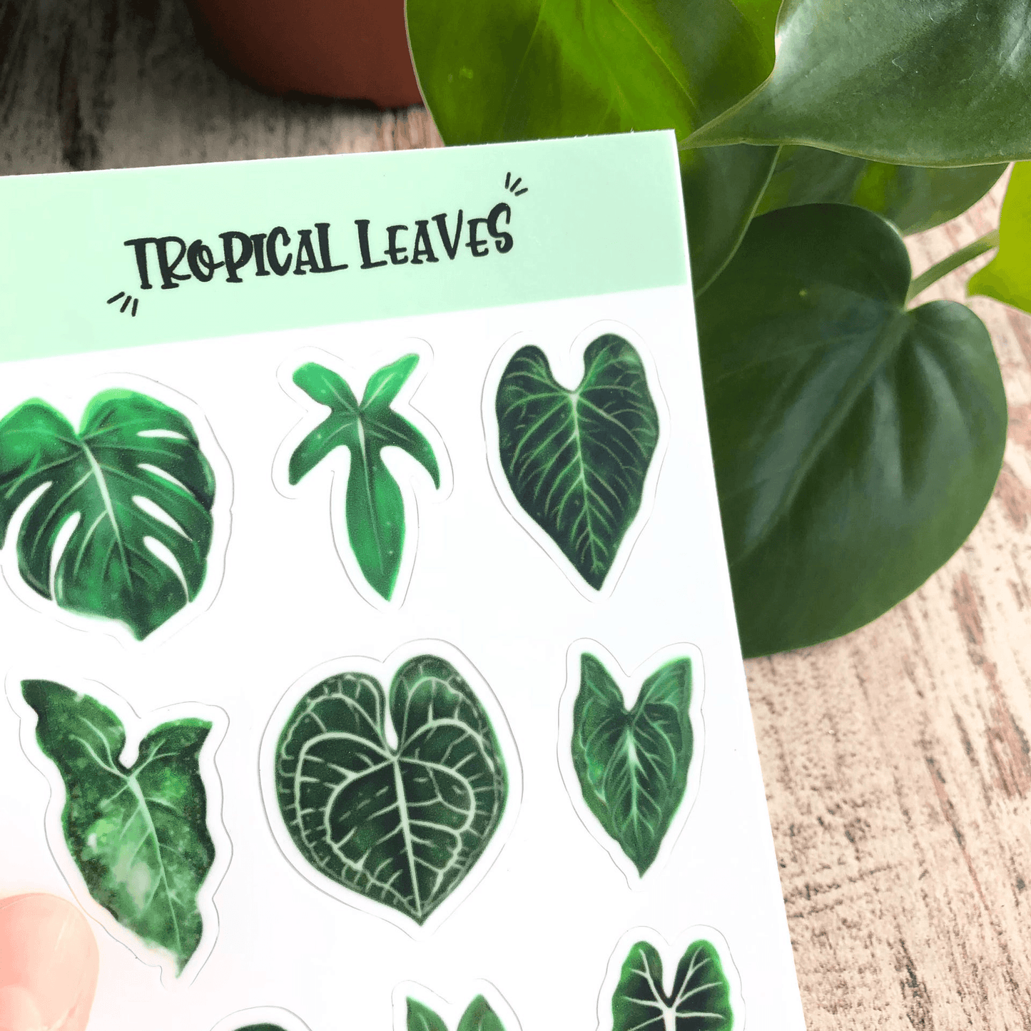 Stickers planche - 9 FEUILLES