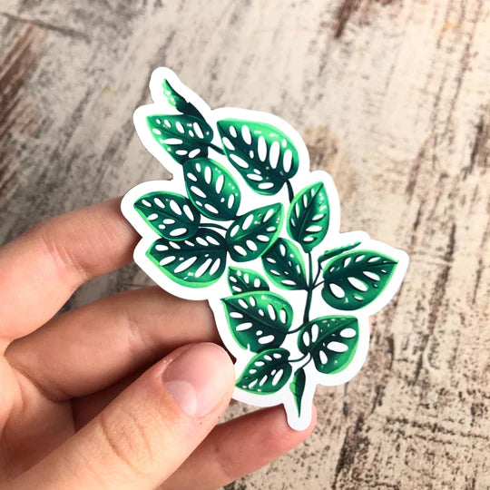 Magnet feuille - MONSTERA ADANSONII