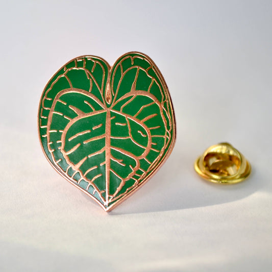 Pin's émaillé - FEUILLE CLARINERVIUM