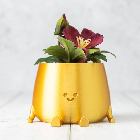 HAPPY POT - Doré