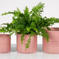 Cache pot COTTAGE