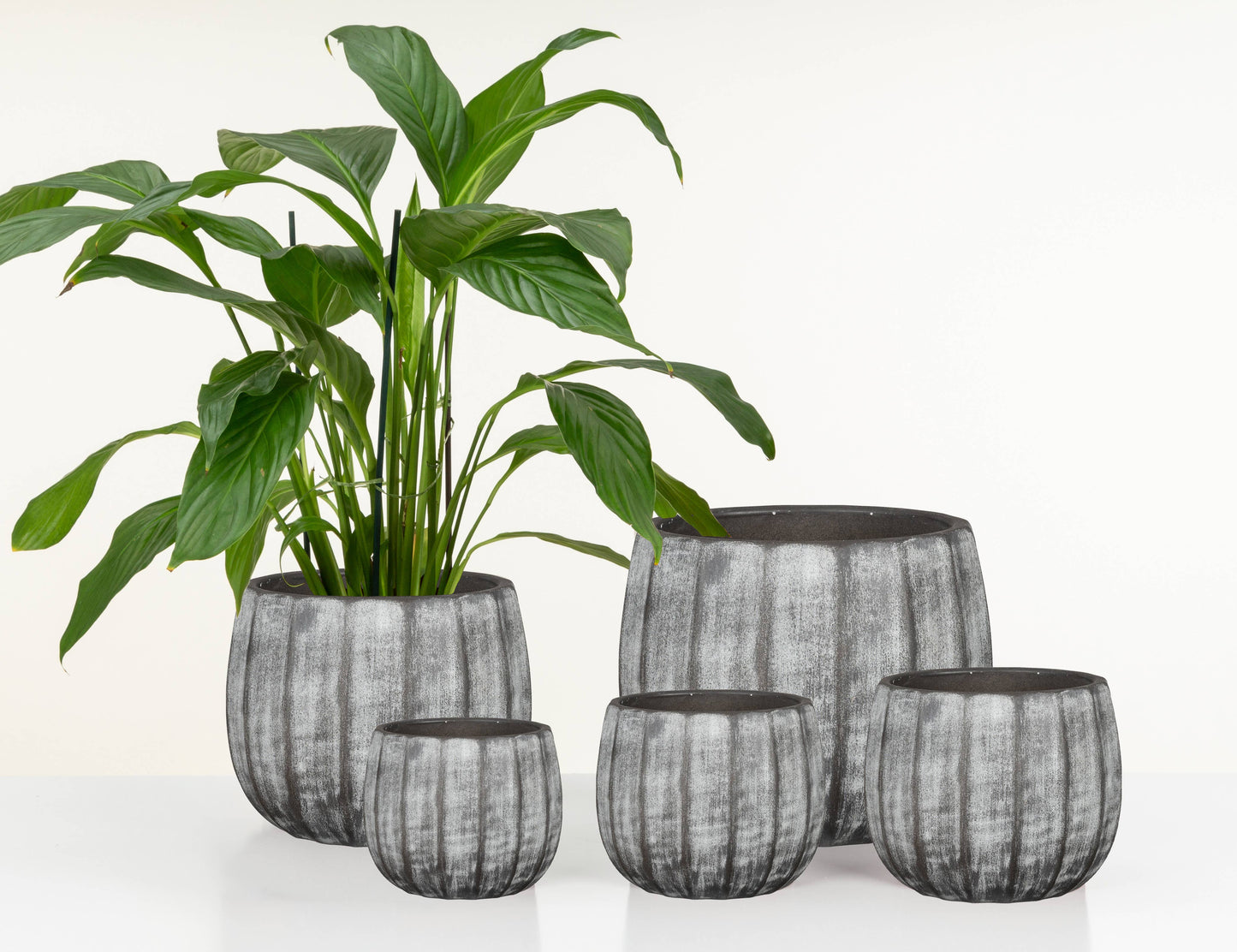 Cache pot WASHED GREY