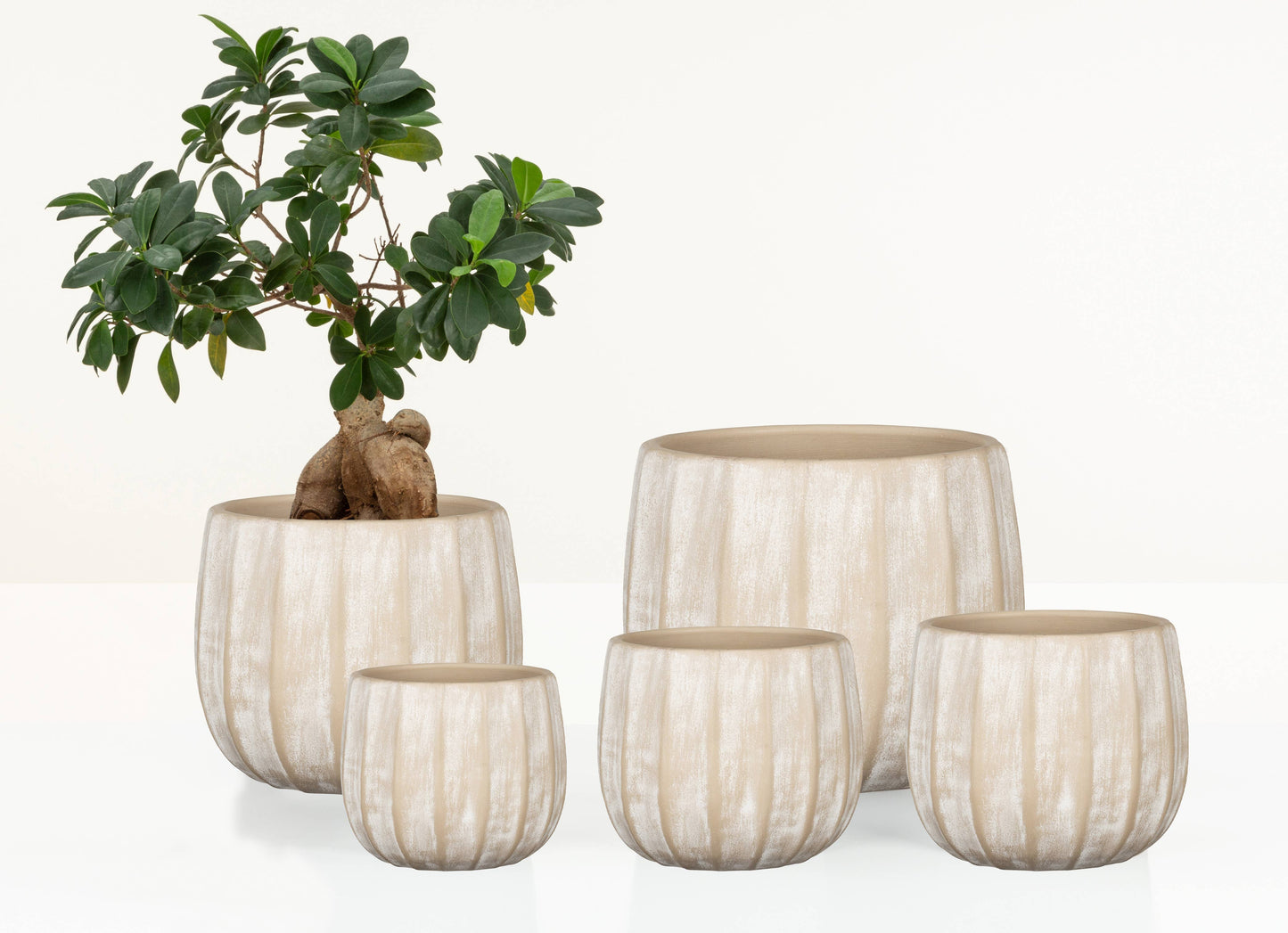 Cache pot WASHED CREAM