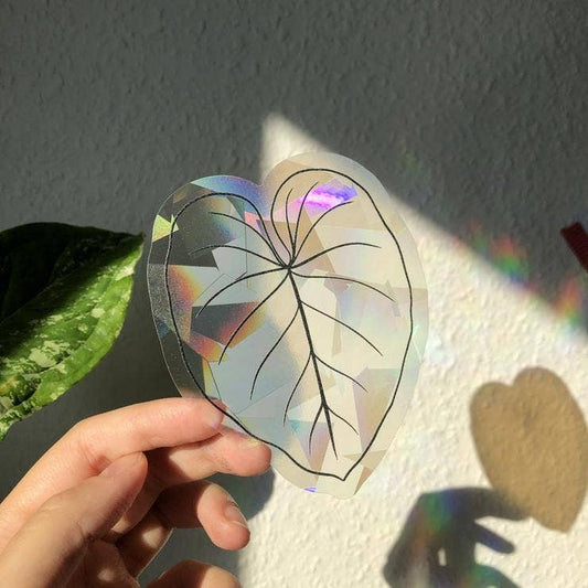 Attrape soleil - FEUILLE PHILODENDRON