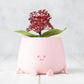 HAPPY POT - Rose pêche