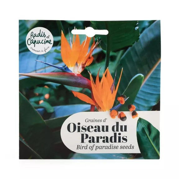 Graines OISEAU DU PARADIS