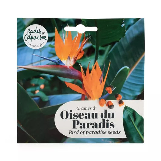 Graines OISEAU DU PARADIS